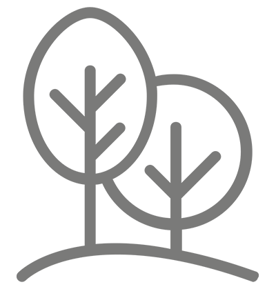 Plants Icon