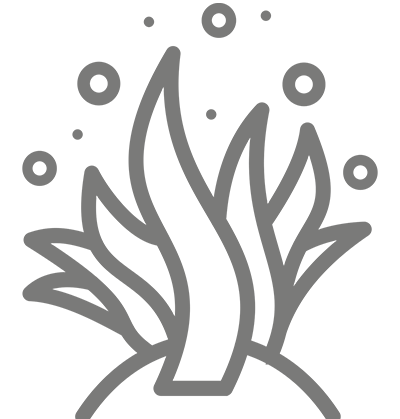 Cleaning Icon