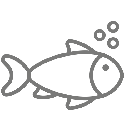 Fish Care Icon