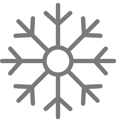 Winterization Icon