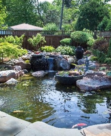 Tranquil garden pond with rocks and plants.