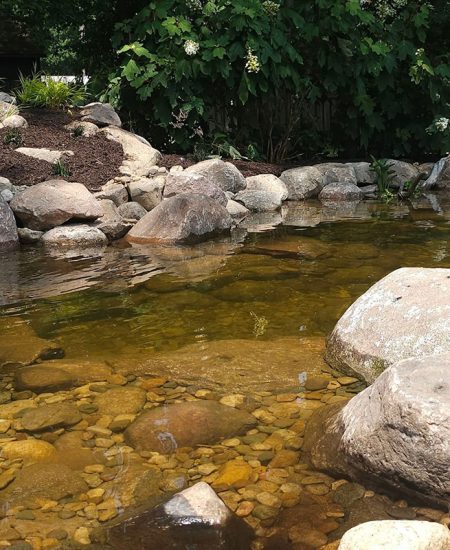 Pond Professional Care