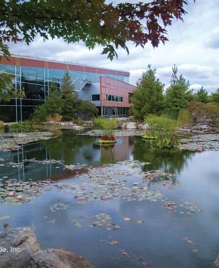 Modern office building with pond and lily pads.