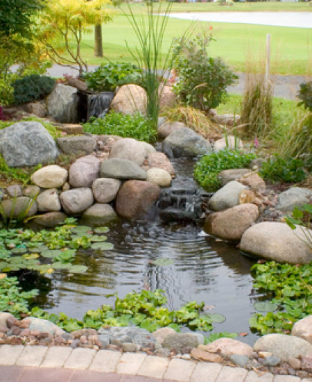 Tranquil garden pond with waterfall and plants